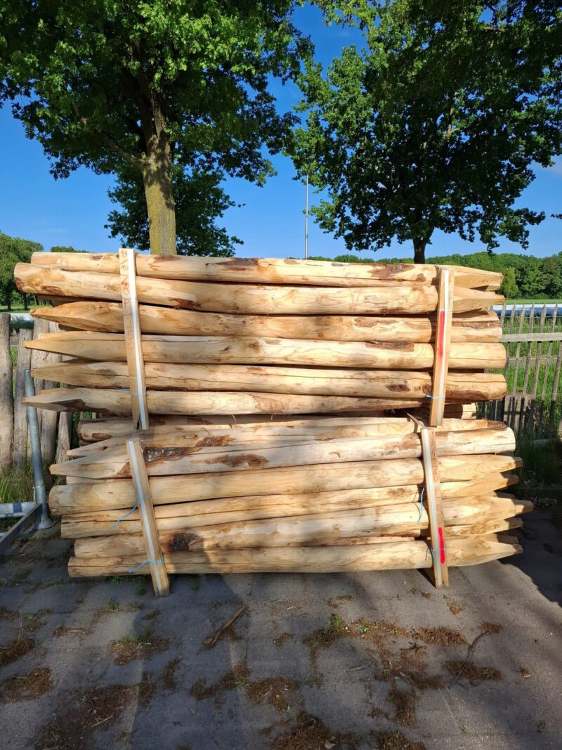 Kastanje palen gepunt - diameter 13/15 cm - lengte 250 cm - prijs per stuk - aanbieding