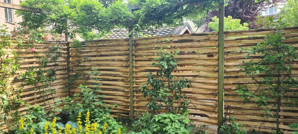 Vlechtscherm kastanje 180 cm breed bij 180 cm hoog met beplanting in een achtertuin.
