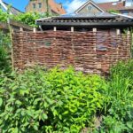 Scherm voor bij de bijenkasten gemaakt met robinia palen 250 cm lang, diameter 6/8 cm waardoor wilgentenen gevlochten zijn.