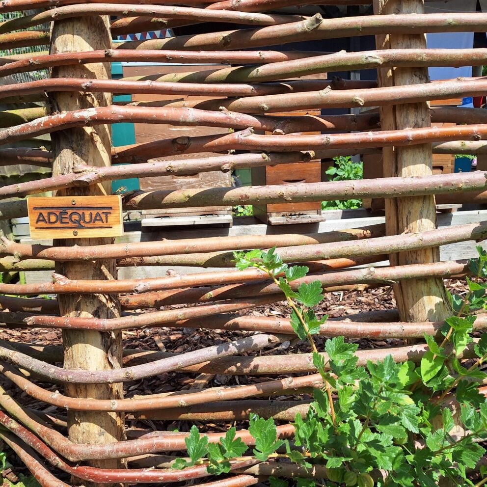 Scherm voor bij de bijenkasten gemaakt met robinia palen 250 cm lang, diameter 6/8 cm waardoor wilgentenen gevlochten zijn.