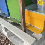 Bijenkasten voor achter het kastanje schapenhek en raamwerkpoort