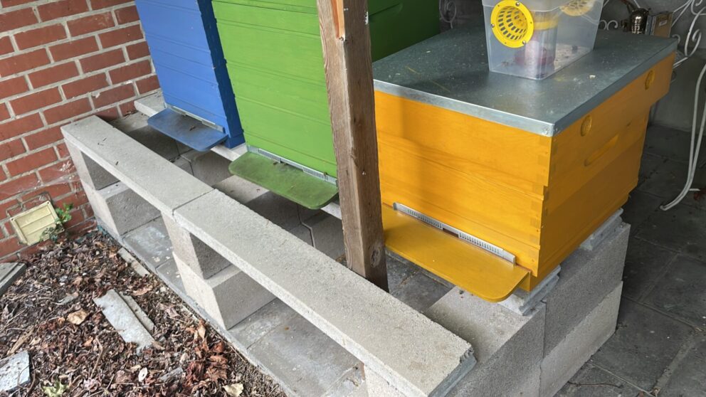Bijenkasten voor achter het kastanje schapenhek en raamwerkpoort