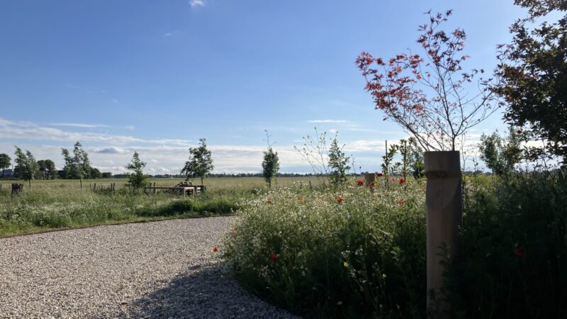 Houten tuinverlichting Billy robinia rond voorbereid voor In-Lite lamp FLUX tussen bloemen en veel groen in tuin