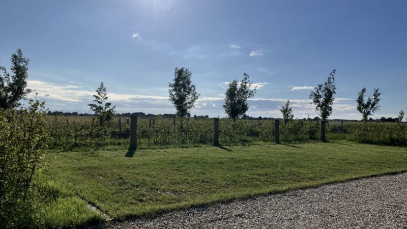 Houten tuinverlichting Billy robinia rond voorbereid voor In-Lite lamp FLUX in achertuin met veel groen