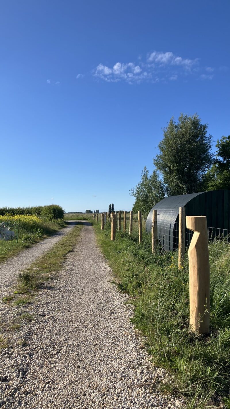 Houten tuinverlichting Billy robinia rond voorbereid voor In-Lite lamp FLUX op een rij aan een rustiek pad