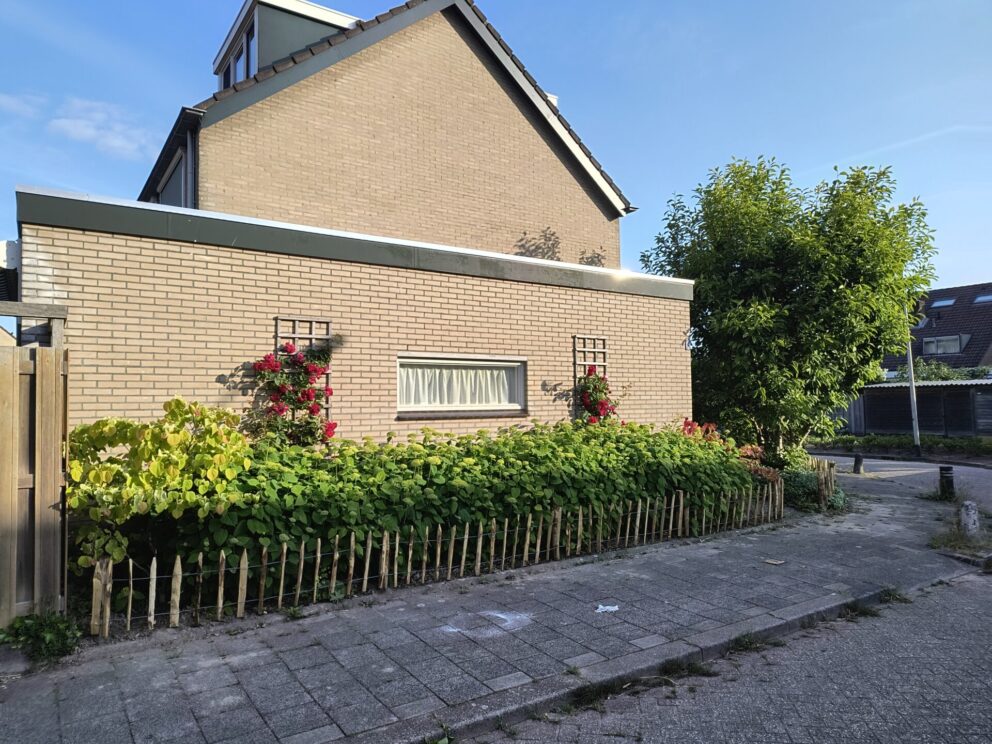 Afrastering tussen stoep en tuin vol met hortensia en geraniums. Afrastering bestaat uit schapenhek kastanje 50 cm hoog, latafstand 10 cm met kastanje paal 120 cm lang, diameter 7/9 cm en kastanje paal 150/160 cm lang, diameter 10/12 cm