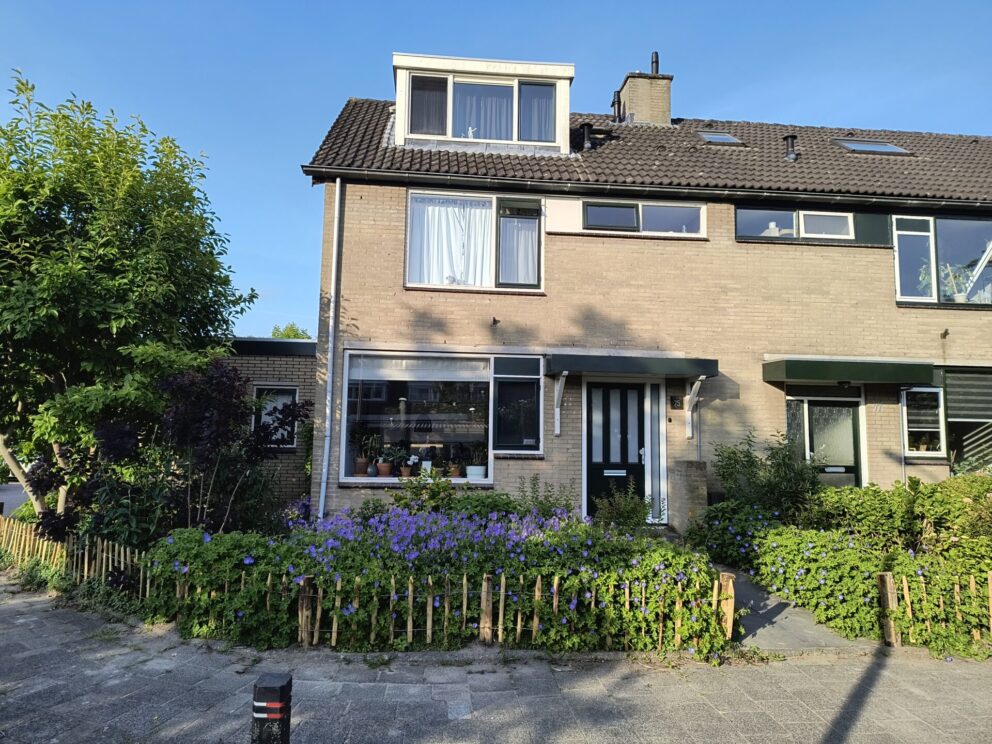 Afrastering tussen stoep en tuin vol met hortensia en geraniums. Afrastering bestaat uit schapenhek kastanje 50 cm hoog, latafstand 10 cm met kastanje paal 120 cm lang, diameter 7/9 cm en kastanje paal 150/160 cm lang, diameter 10/12 cm