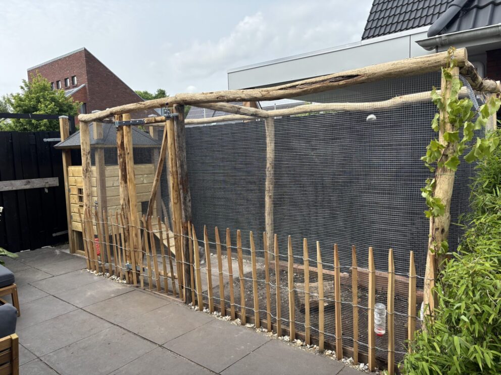 Konijnenren met gaas en een raamwerkpoort van kastanje van 80 cm breed bij 175 cm hoog.