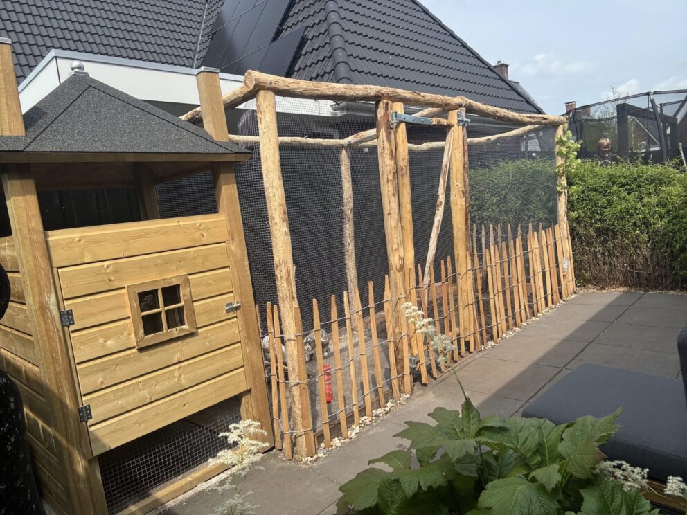 Konijnenren met gaas en een raamwerkpoort van kastanje van 80 cm breed bij 175 cm hoog.