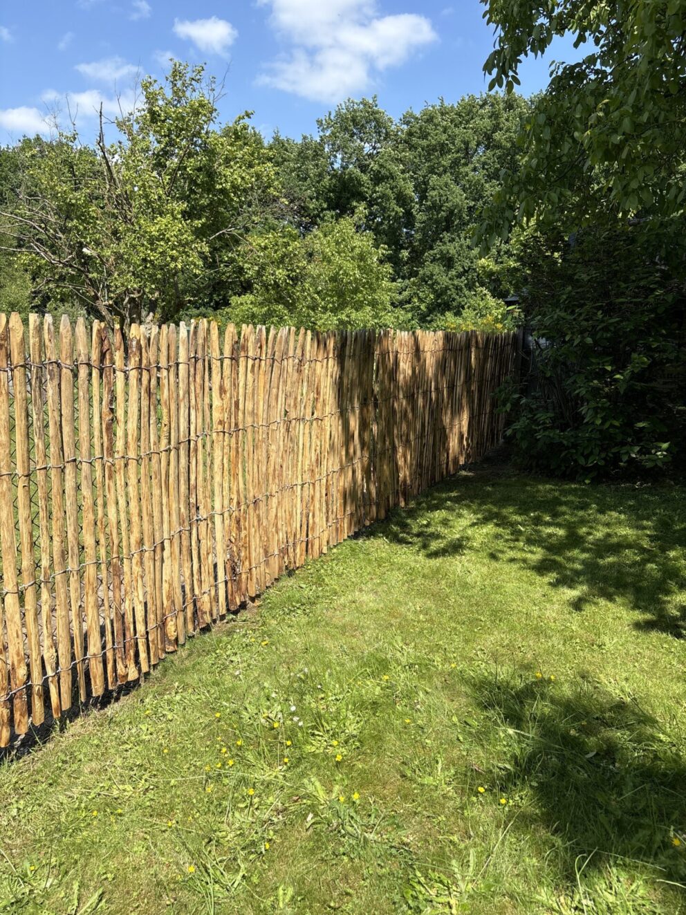 Frans schapenhek kastanje 150 cm hoog, latafstand 2 cm als afrastering in een groene tuin