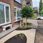 Robinia plen 160 en 180 cm lang, diameter 8/10 cm in de voortuin als creatieve toevoeging