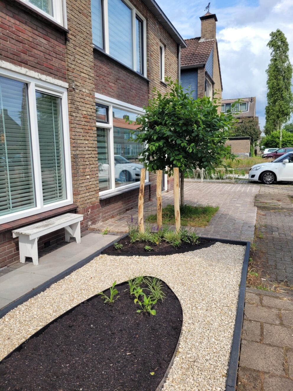 Robinia plen 160 en 180 cm lang, diameter 8/10 cm in de voortuin als creatieve toevoeging
