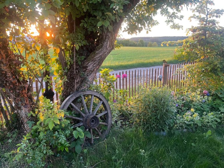 Robinia schapenhekwerk 80 cm hoog, latafstand 4 cm met robinia paal 160 cm lang, diameter 10/12 cm met zonsondergang