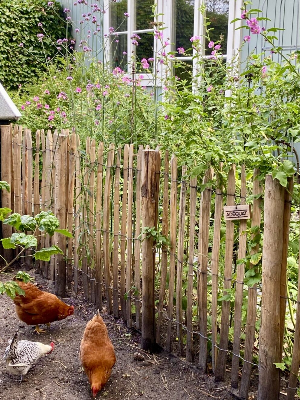 Natuurlijke omheiningen voor dierenverblijven