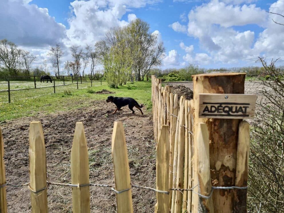Natuurlijke omheiningen voor dierenverblijven