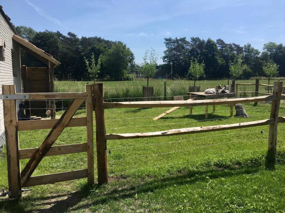 Natuurlijke omheiningen voor dierenverblijven