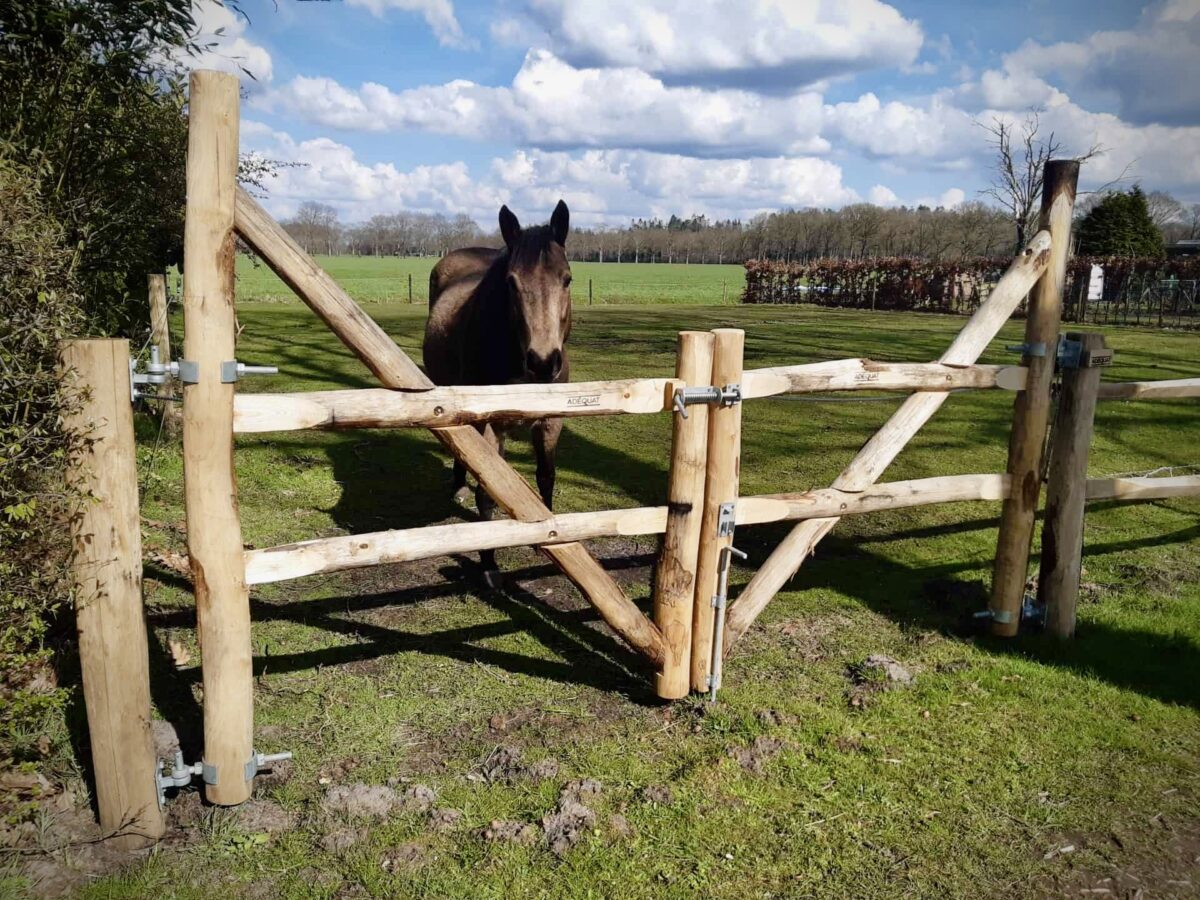 Houten dieromheining: Post & Rail weideafrastering, aanvullend voorzien van draadgaas (knoopnet), hier gebruikt als omheining voor geiten.
