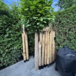 Kastanje paal 300 cm lang, diameter 10-12 cm, gepunt en kastanje paal 200 cm lang, diameter 10-12 cm, gepunt. Privacy bij een ijsbad.
