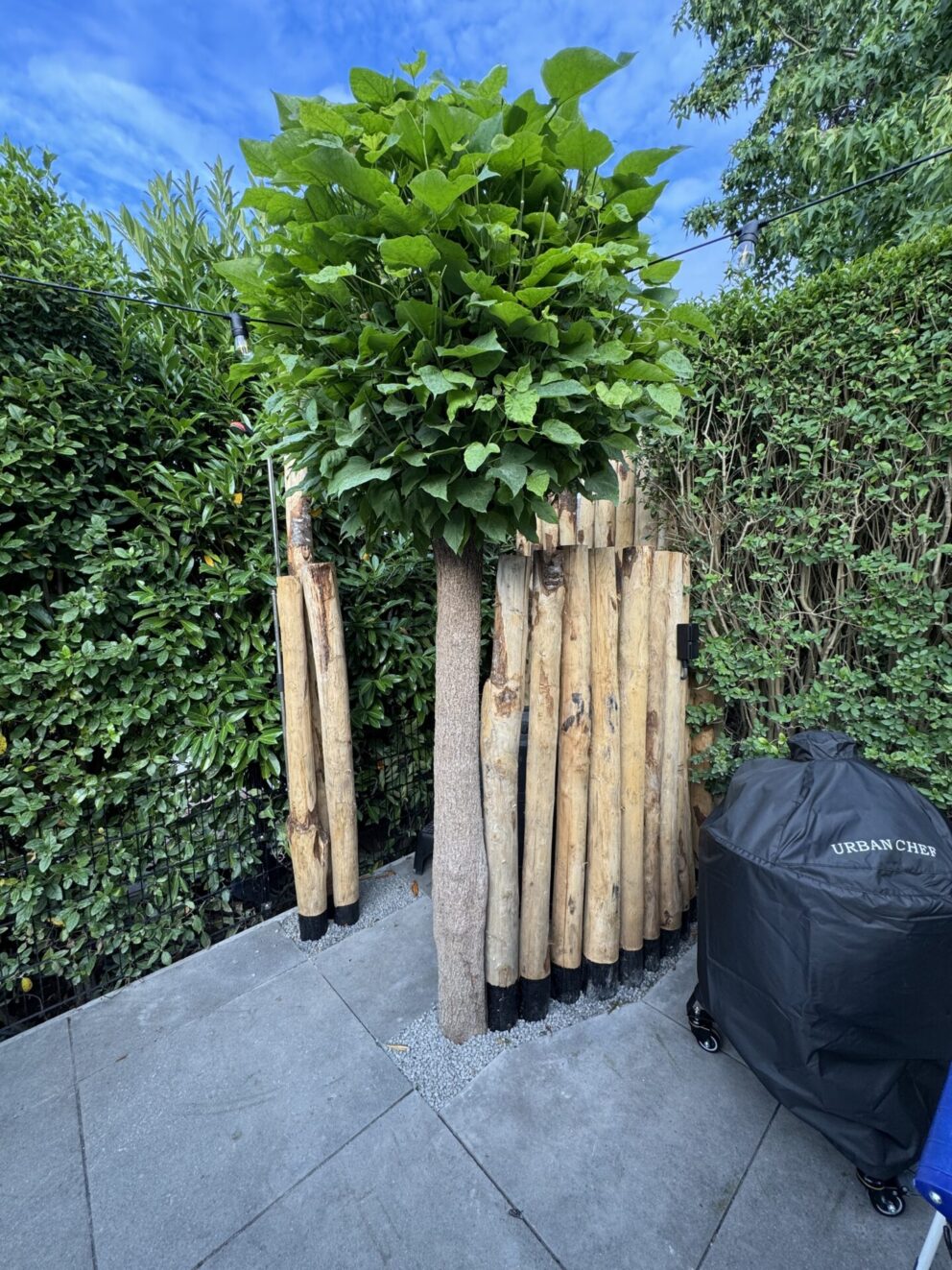 Kastanje paal 300 cm lang, diameter 10-12 cm, gepunt en kastanje paal 200 cm lang, diameter 10-12 cm, gepunt. Privacy bij een ijsbad.