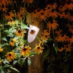 Padverlichting Billy kastanje rond