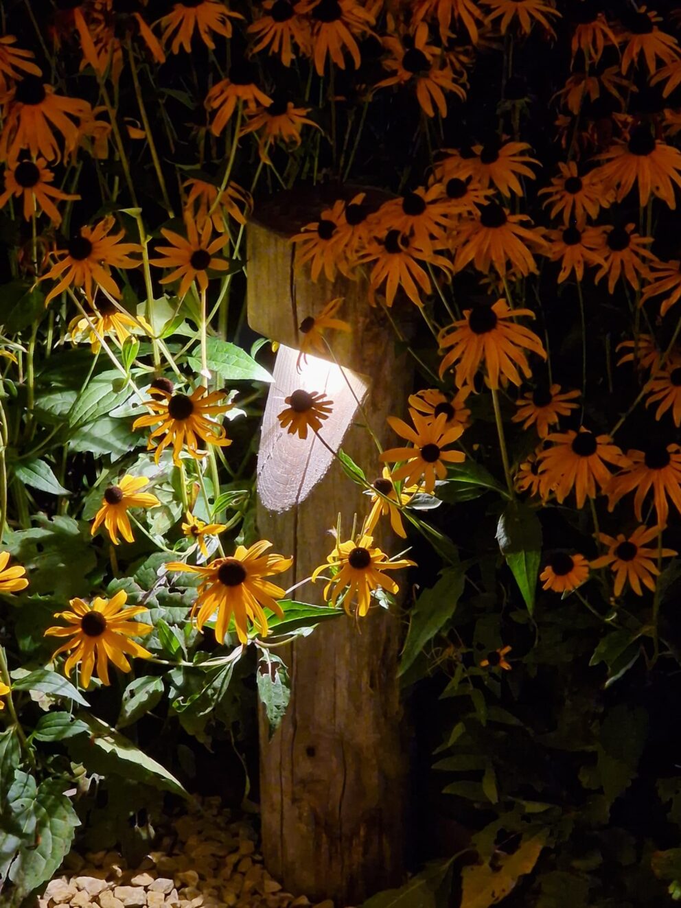 Padverlichting Billy kastanje rond