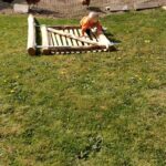 Schapenhek poort kastanje enkel 100 breed x 120 hoog