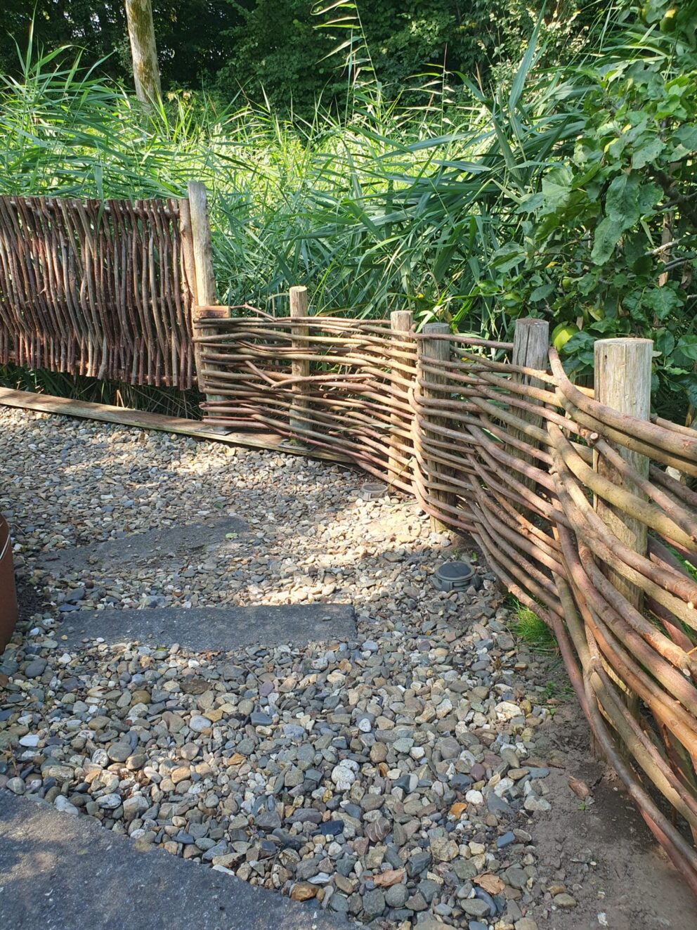 Hazelaar scherm Loire 3, 180 cm breed en 75 cm hoog, wilgentenen per bos (18-20 tenen)