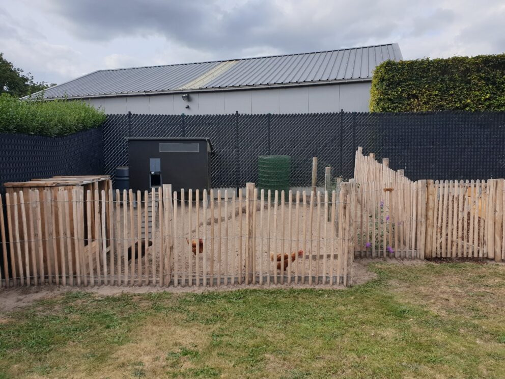 Schapenhek robinia geschuurd 120 cm hoog, latafstand 4 cm, robinia paal 200 cm lang, diameter 8-10 cm, geschild en gepunt, robinia paal 200 cm lang, diameter 10-12 cm, geschild en gepunt, schapenhek poort kastanje enkel 100 cm breed en 120 cm hoog