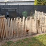 Schapenhek robinia geschuurd 120 cm hoog, latafstand 4 cm, robinia paal 200 cm lang, diameter 8-10 cm, geschild en gepunt, robinia paal 200 cm lang, diameter 10-12 cm, geschild en gepunt, schapenhek poort kastanje enkel 100 cm breed en 120 cm hoog