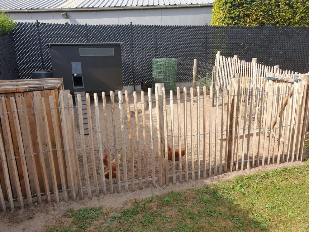 Schapenhek robinia geschuurd 120 cm hoog, latafstand 4 cm, robinia paal 200 cm lang, diameter 8-10 cm, geschild en gepunt, robinia paal 200 cm lang, diameter 10-12 cm, geschild en gepunt, schapenhek poort kastanje enkel 100 cm breed en 120 cm hoog