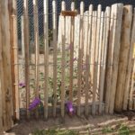 Schapenhek robinia geschuurd 120 cm hoog, latafstand 4 cm, robinia paal 200 cm lang, diameter 8-10 cm, geschild en gepunt, robinia paal 200 cm lang, diameter 10-12 cm, geschild en gepunt, schapenhek poort kastanje enkel 100 cm breed en 120 cm hoog