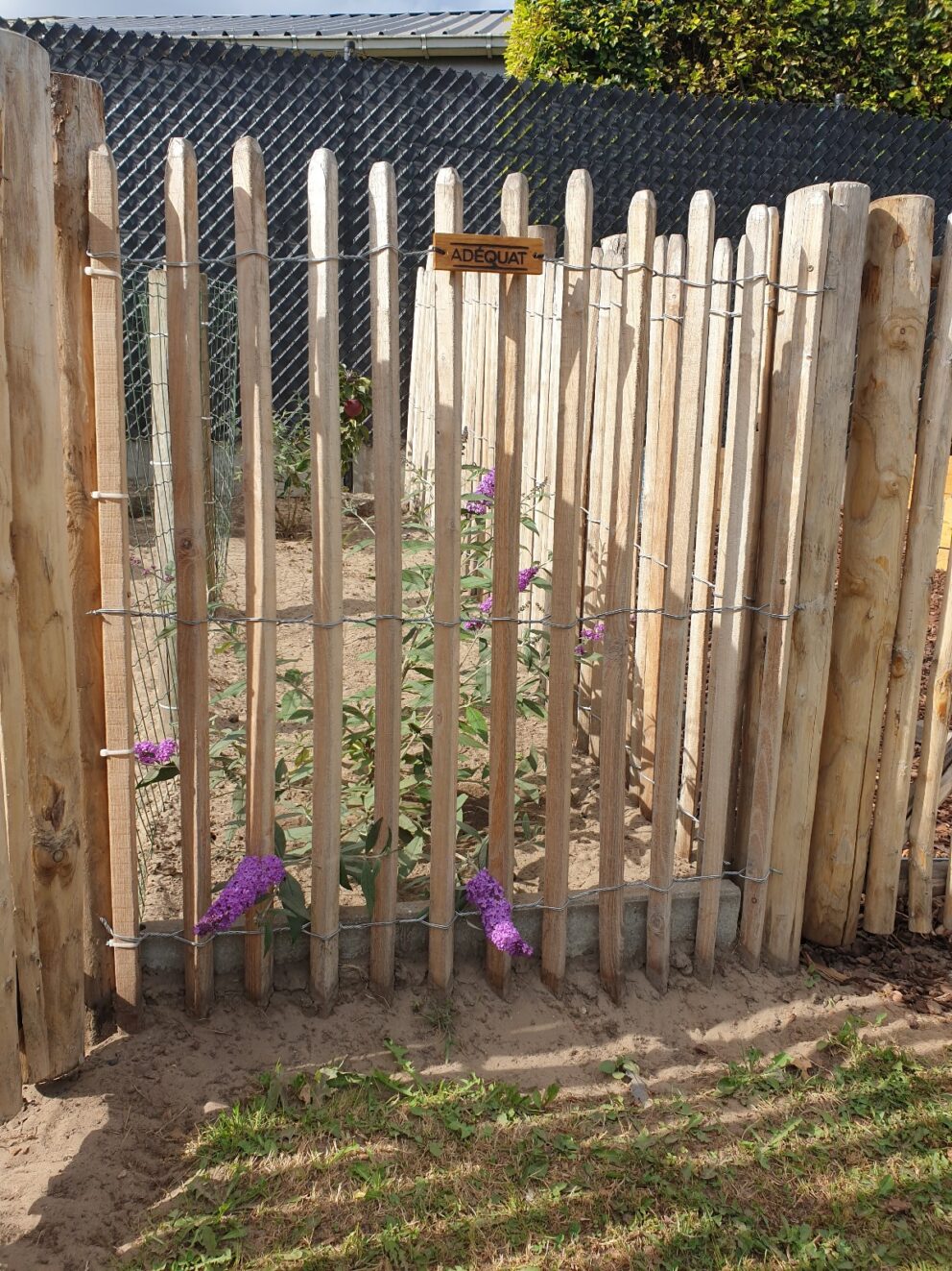 Schapenhek robinia geschuurd 120 cm hoog, latafstand 4 cm, robinia paal 200 cm lang, diameter 8-10 cm, geschild en gepunt, robinia paal 200 cm lang, diameter 10-12 cm, geschild en gepunt, schapenhek poort kastanje enkel 100 cm breed en 120 cm hoog