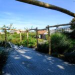 Robinia paal 350 cm lang, diameter 10-12 cm, geschild en ongepunt, robinia paal 300 cm lang, diameter 10-12 cm, geschild en gepunt, robinia paal 400 cm lang, diameter 10-12 cm, geschild en ongepunt, robinia paal 250 cm lang, diameter 10-12 cm lang, geschild en gepunt, pergola
