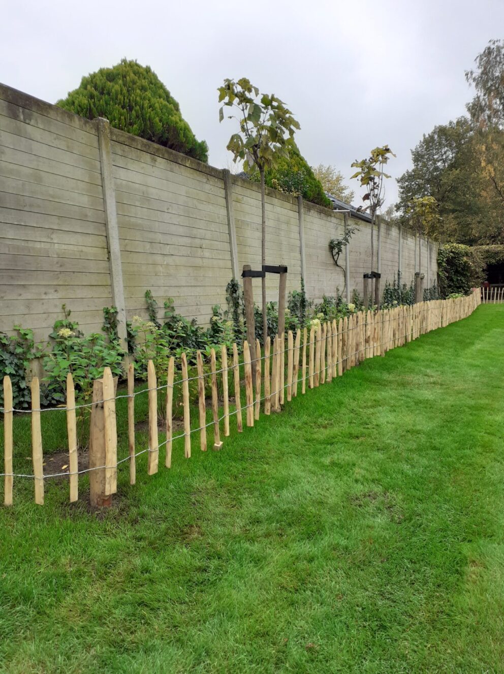 Frans schapenhek kastanje 50 cm hoog, latafstand 10 cm, 10 meter rol en kastanje paal (aanbieding), 100 cm lang, diameter 5/7 cm