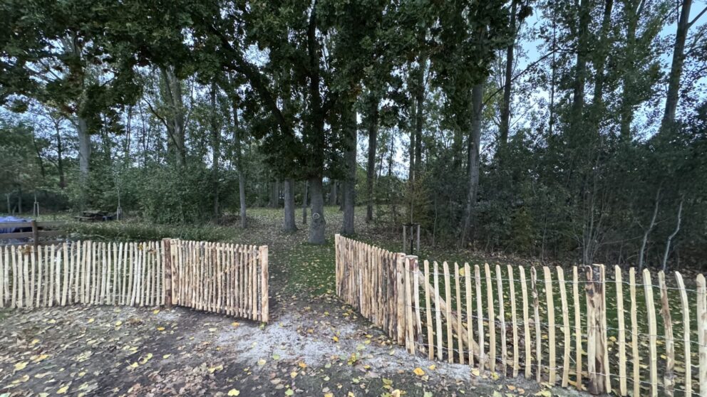 Schapenhek poort kastanje dubbel 100 cm hoog, 180 cm breed