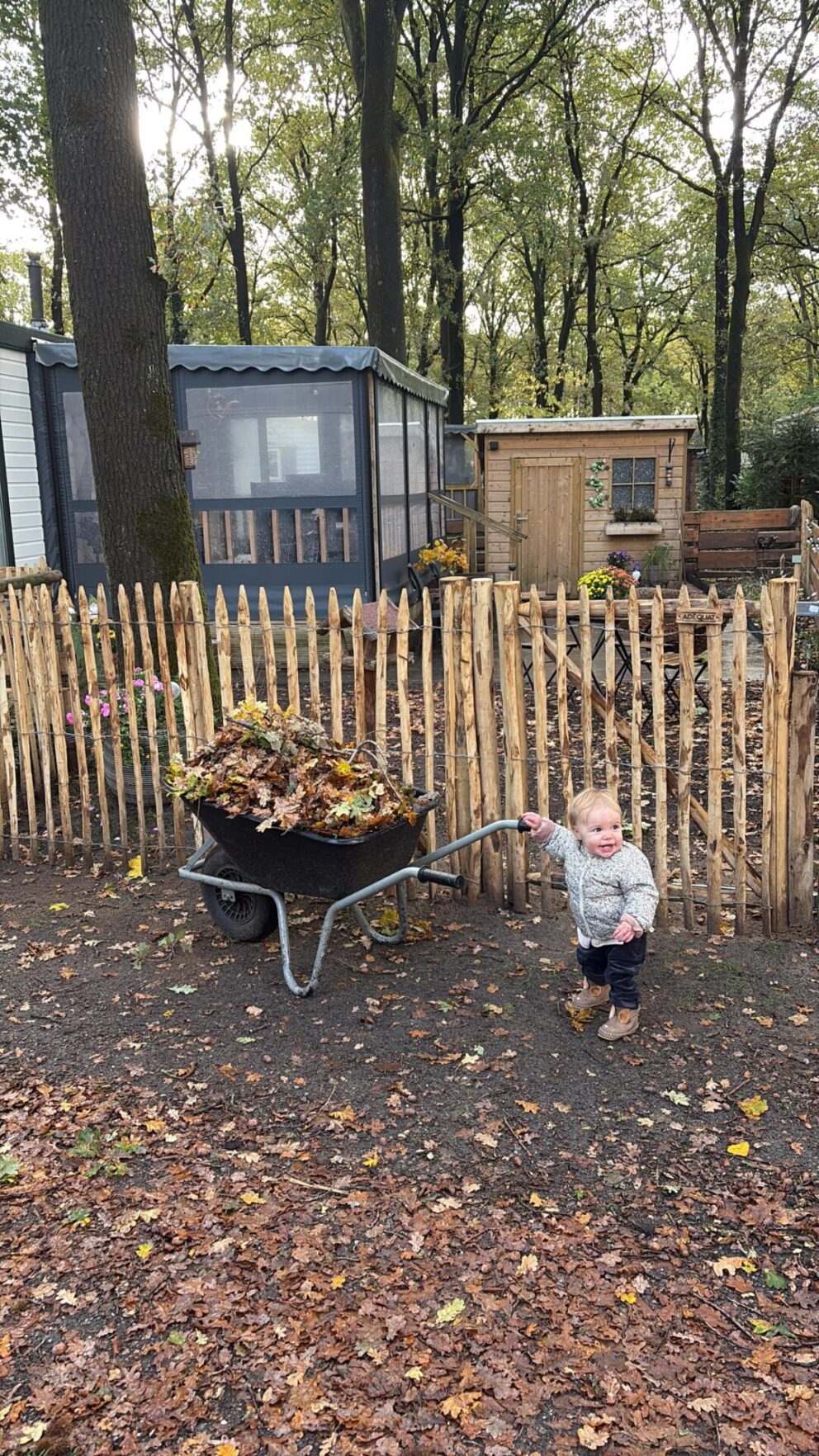 Kastanje paal 200 cm lang, diameter 7/9 cm, gepunt, kastanje paal 200 cm lang, diameter 10/12 cm, gepunt en Frans schapenhek kastanje 120 cm hoog, latafstand 4 cm, 2 x 5 meter rol