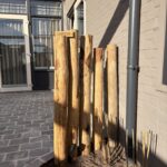 Kastanje palen, 150/160 centimeter lang, diameter 13/16 centimeter