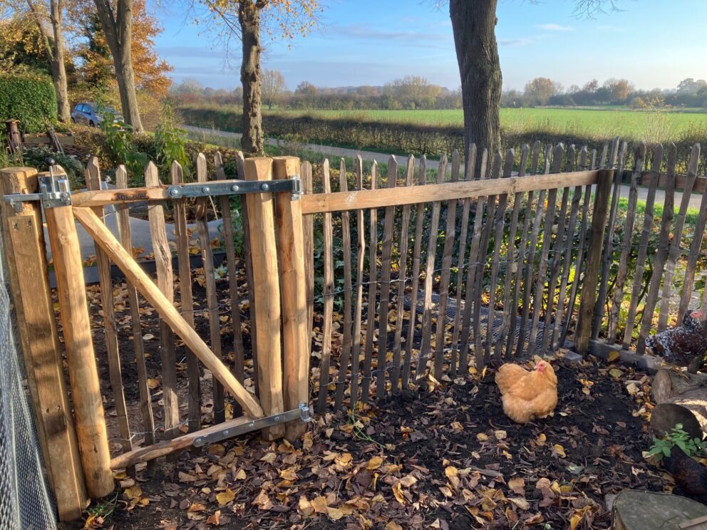 Raamwerkpoort kastanje enkel 80 cm breed x 120 cm hoog