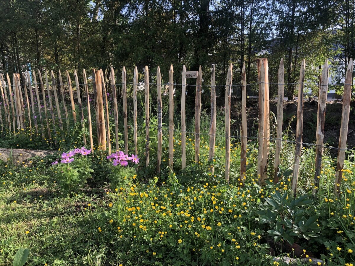 Lattenabstand_Staketenzaun_120-cm_10-cm