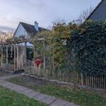 Frans schapenhek kastanje 50 centimeter hoog, latafstand 4 cm, 10 meter rol, schapenhek poort kastanje enkel, 100 cm breed x 200 cm hoog, linksdraaiend, kastanje paal 400 cm lang, diameter 10/12 cm, halfrond, kastanje rasterlat halfrond en gepunt, 200 cm lang en kastanje paal 300 cm lang, diameter 10/12 cm gepunt