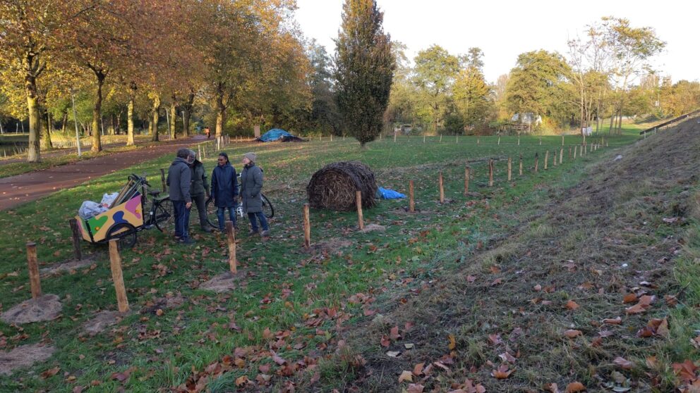 Kastanje paal 150/160 cm lang, diameter 7/9 cm, gepunt