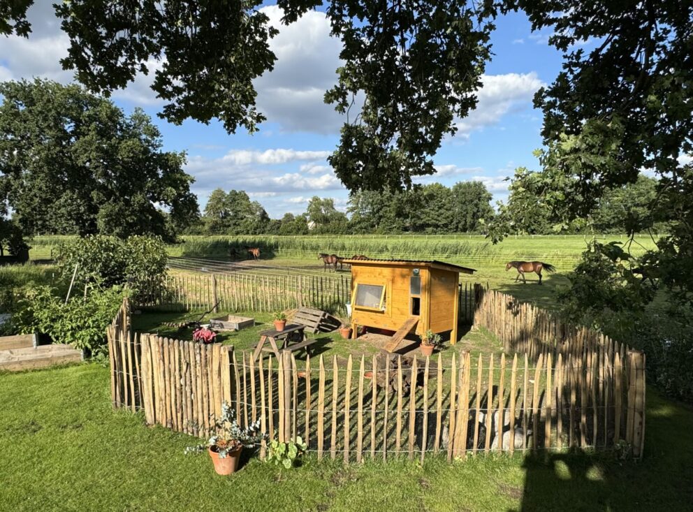 Schapenhek latafstand 6 cm