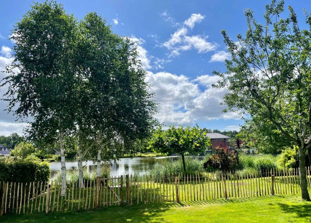 Schapenhek latafstand 8 cm