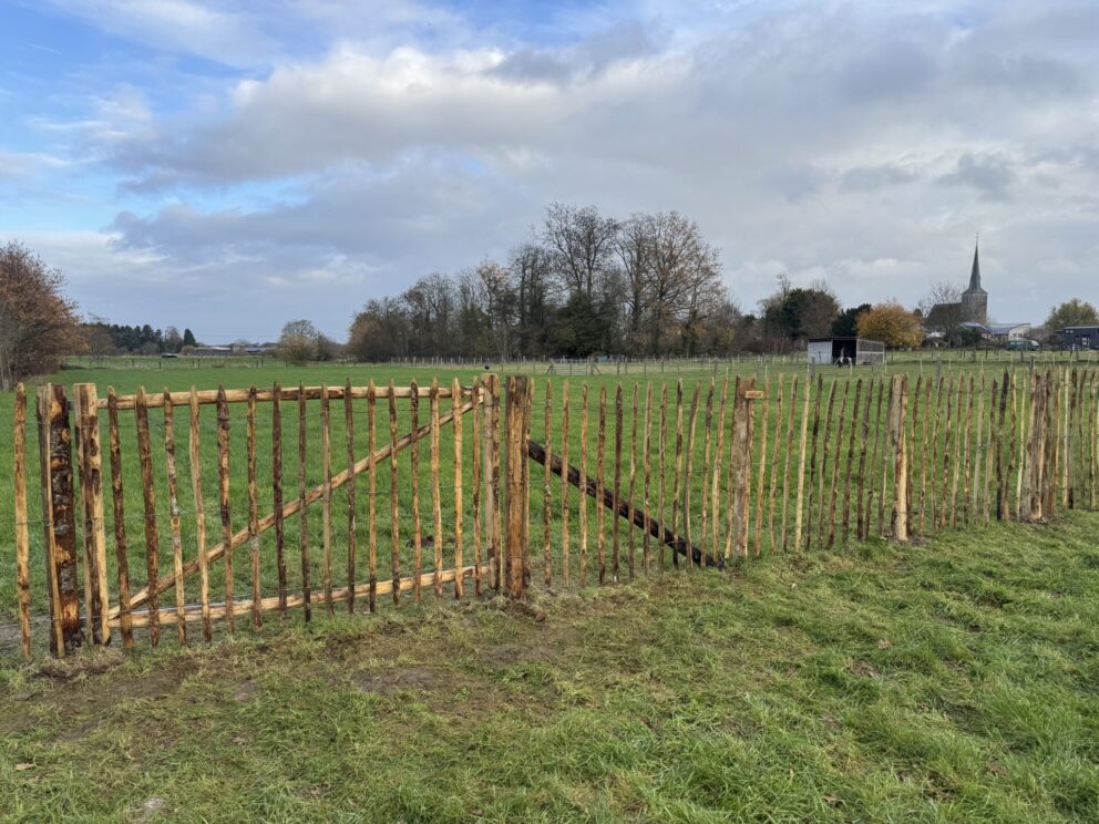 Frans schapenhek kastanje 120 cm hoog, latafstand 8 cm, schapenhek robinia geschuurd 120 cm hoog, latafstand 8 cm, robinia paal 200 cm lang, diameter 10-12 cm, geschild en gepunt, robinia paal 200 cm lang, diameter 8-10 cm, geschild en gepunt en raamwerkpoort kastanje enkel 200 cm breed, 120 cm hoog, linksdraaiend