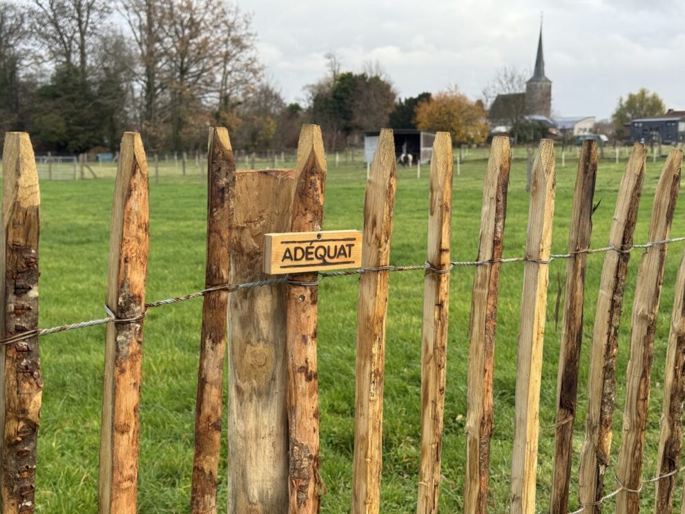 Frans schapenhek kastanje 120 cm hoog, latafstand 8 cm, schapenhek robinia geschuurd 120 cm hoog, latafstand 8 cm, robinia paal 200 cm lang, diameter 10-12 cm, geschild en gepunt, robinia paal 200 cm lang, diameter 8-10 cm, geschild en gepunt en raamwerkpoort kastanje enkel 200 cm breed, 120 cm hoog, linksdraaiend