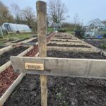 Kastanje plank gezaagd- 2 x 15 x 250 cm, RVS schroeven 4,5 x 60, 100 stuks incl. bitje en RVS schroeven 4,5 x 50, 100 stuks incl. bitje