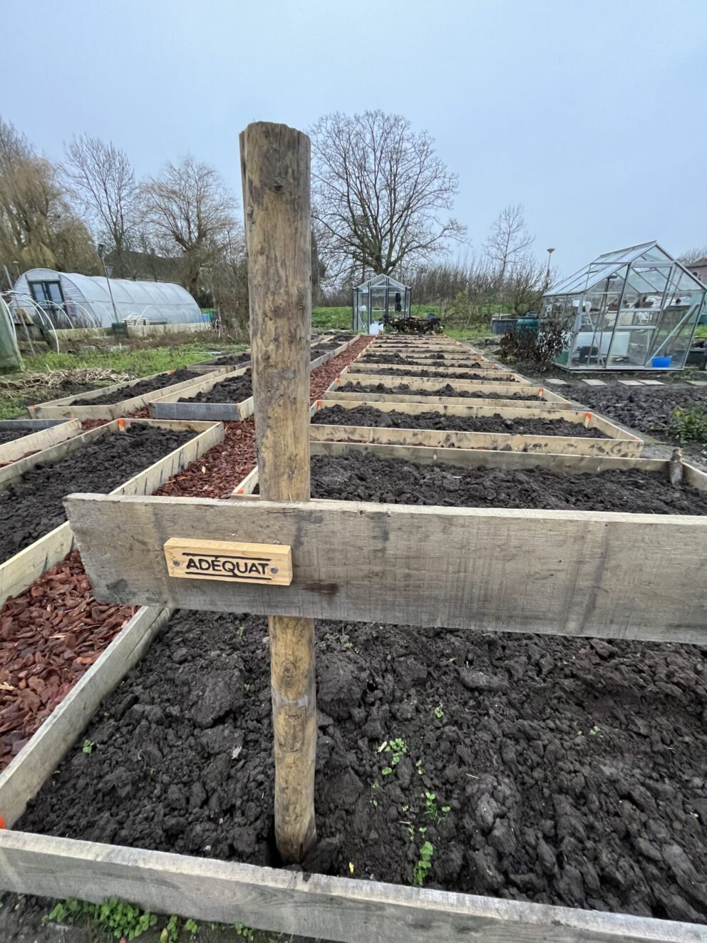 Kastanje plank gezaagd- 2 x 15 x 250 cm, RVS schroeven 4,5 x 60, 100 stuks incl. bitje en RVS schroeven 4,5 x 50, 100 stuks incl. bitje