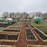 Kastanje plank gezaagd- 2 x 15 x 250 cm, RVS schroeven 4,5 x 60, 100 stuks incl. bitje en RVS schroeven 4,5 x 50, 100 stuks incl. bitje