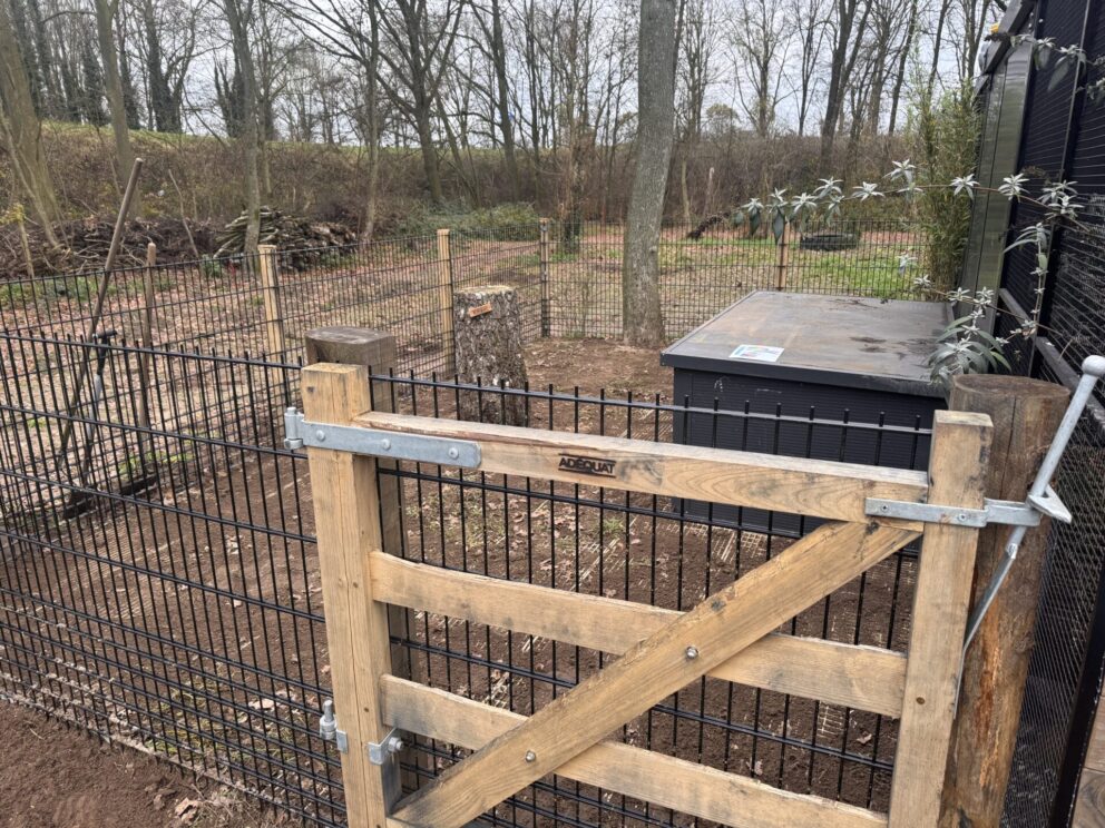 Kastanje paal 4-zijdig, ronde hoeken, diameter 10 cm, lengte 220 cm, boerenpoort rustiek kastanje enkel 120 cm breed x 120 cm hoog, boerenpoort rustiek kastanje enkel 120 x 120 cm, rechtsdraaiend, met verstevigde onderbalk, hang- en sluitwerkset Engelse en Nederlandse poort, verstevigde onderbalk aandrijving boerenpoort en kastanje balk rustiek bezaagd - 16 x 16 x 250 cm