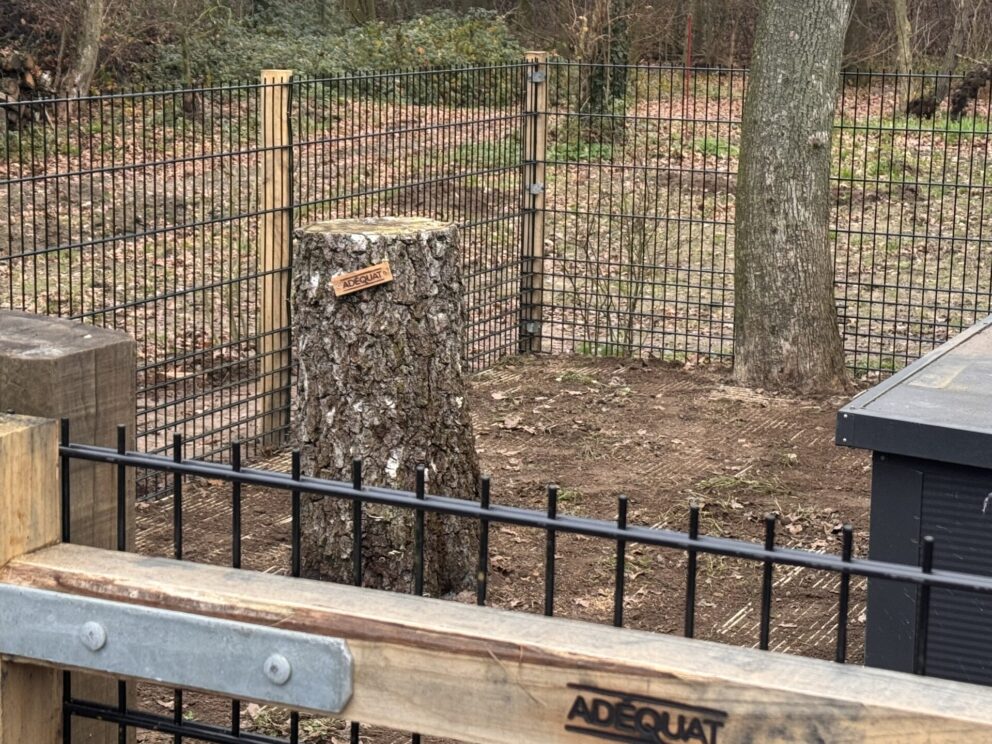 Kastanje paal 4-zijdig, ronde hoeken, diameter 10 cm, lengte 220 cm, boerenpoort rustiek kastanje enkel 120 cm breed x 120 cm hoog, boerenpoort rustiek kastanje enkel 120 x 120 cm, rechtsdraaiend, met verstevigde onderbalk, hang- en sluitwerkset Engelse en Nederlandse poort, verstevigde onderbalk aandrijving boerenpoort en kastanje balk rustiek bezaagd - 16 x 16 x 250 cm